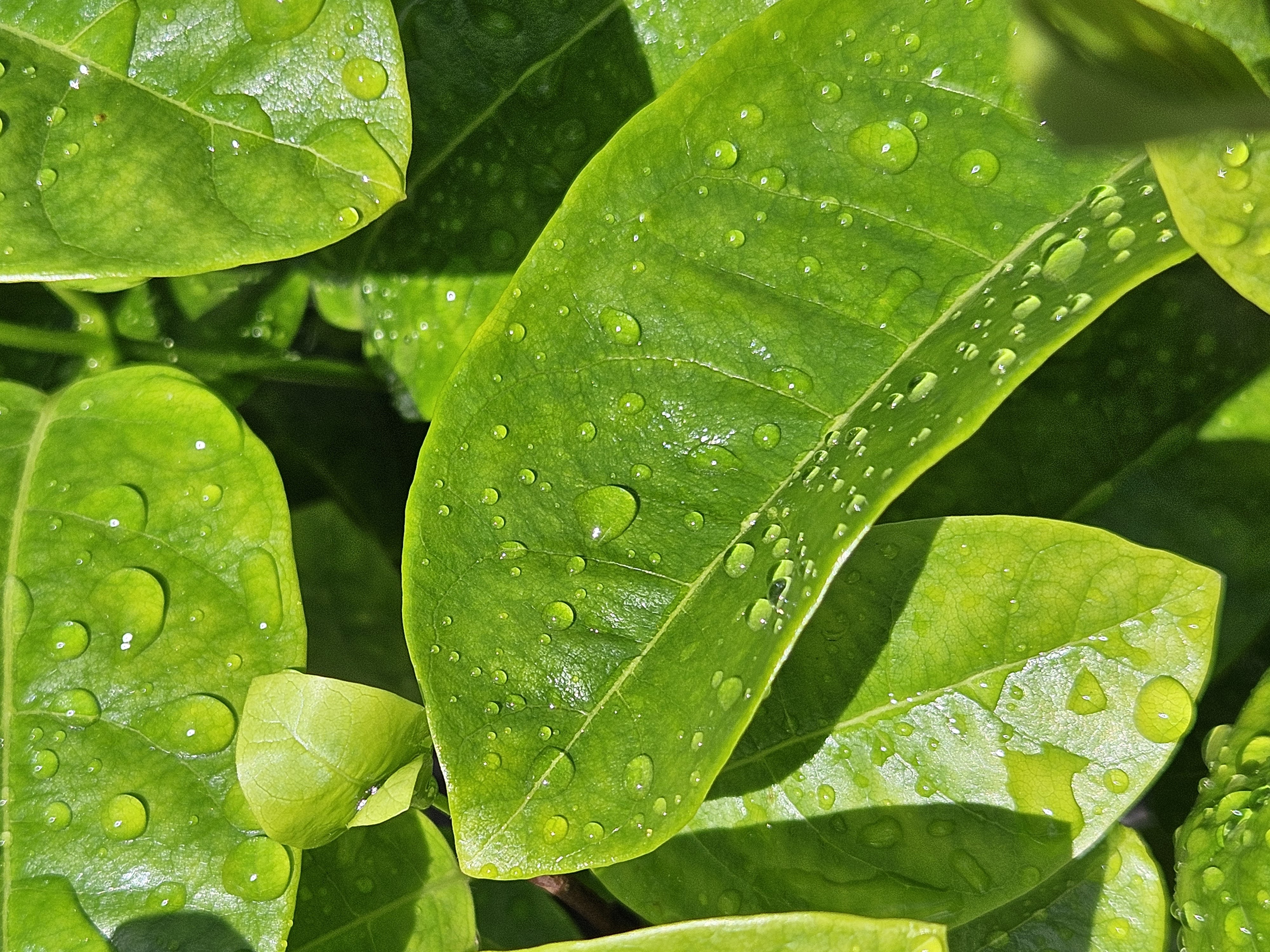 After the Rain