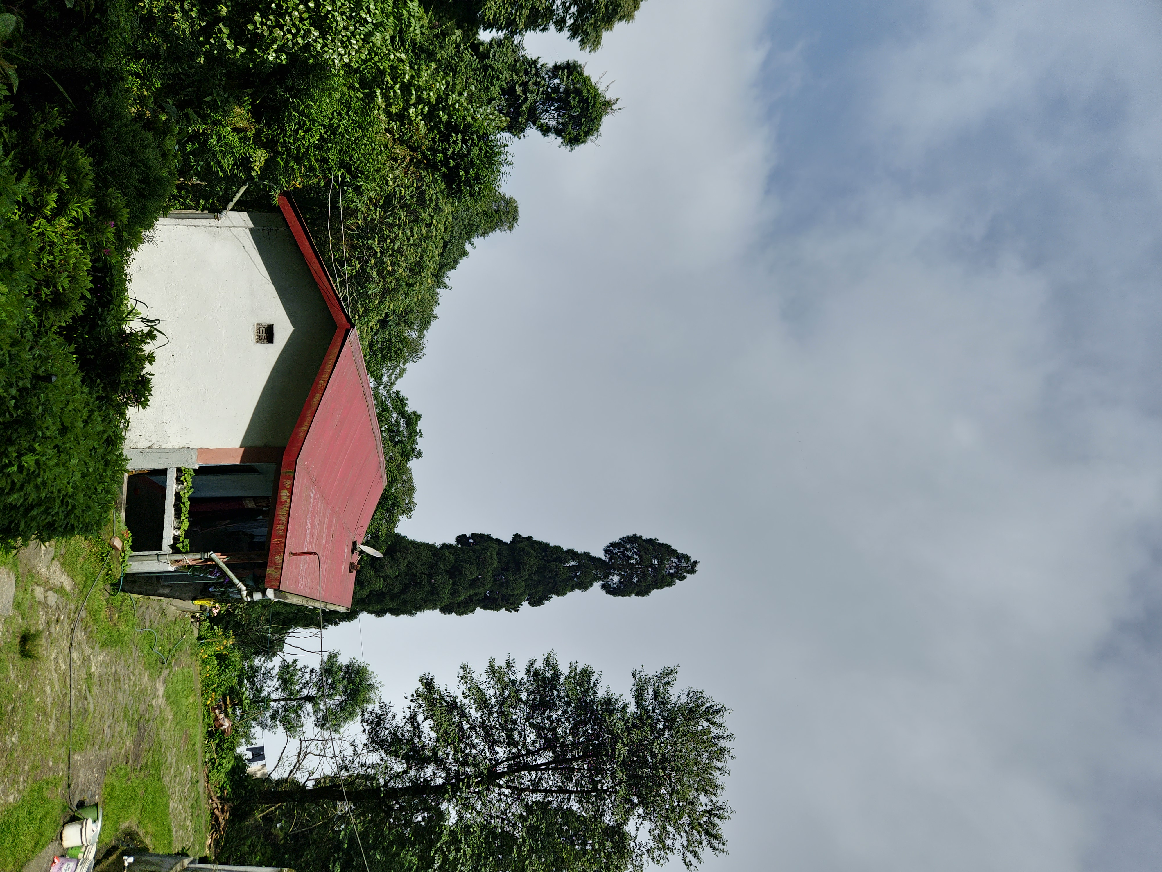 Home in the Hills